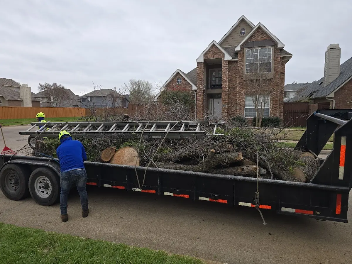 Expert Tree Fertilization with proper safety equipment in Conklin